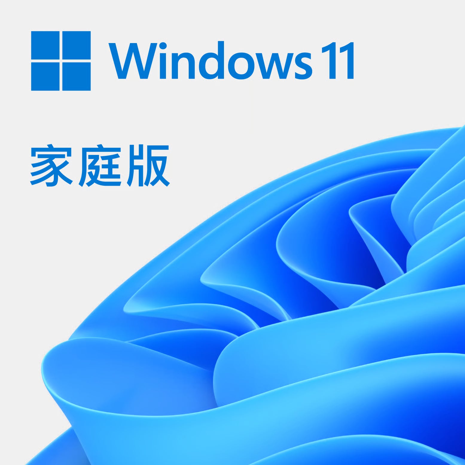 Microsoft 微軟 Windows 11 Home 家用版 (OEM 跟機)
